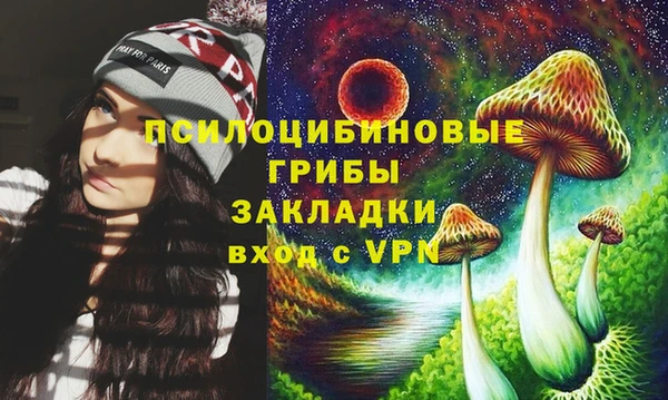 кокаин Белокуриха
