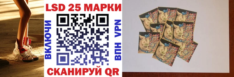 Наркотические марки 1500мкг  цены наркотик  Дорогобуж 