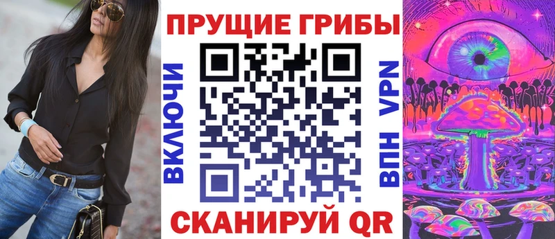 Псилоцибиновые грибы мицелий  ссылка на мегу зеркало  Дорогобуж 