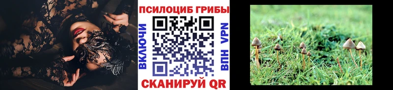 Псилоцибиновые грибы прущие грибы Дорогобуж